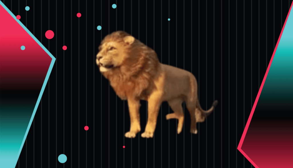 Combien Co te Le Lion Sur TikTok Prix Conversion combien-co-te-le-lion-sur-tiktok-prix-conversion