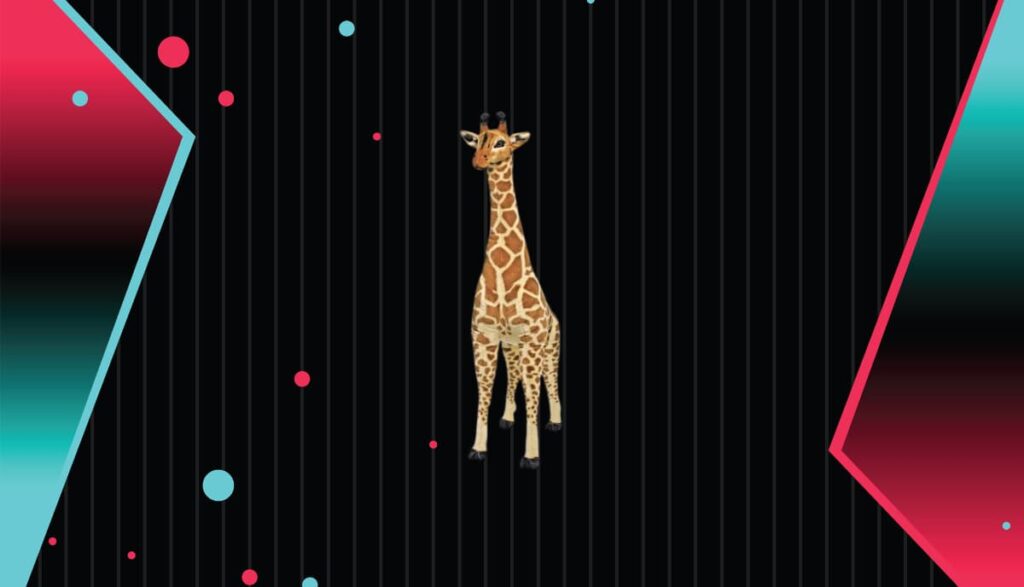 Prix girafe TikTok
